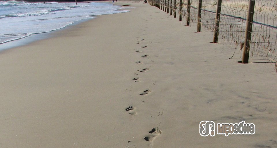 footprint in sand 2 e-1
