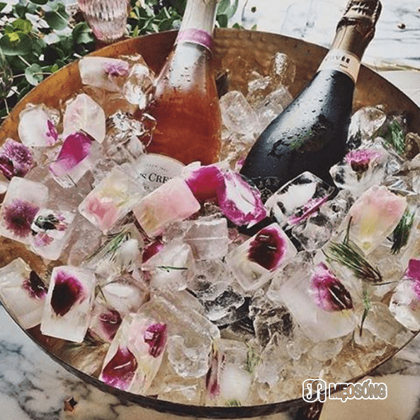 Flower ice cubes and champagne, Reverb_Events, Instagram