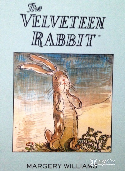 the velveteen rabbit